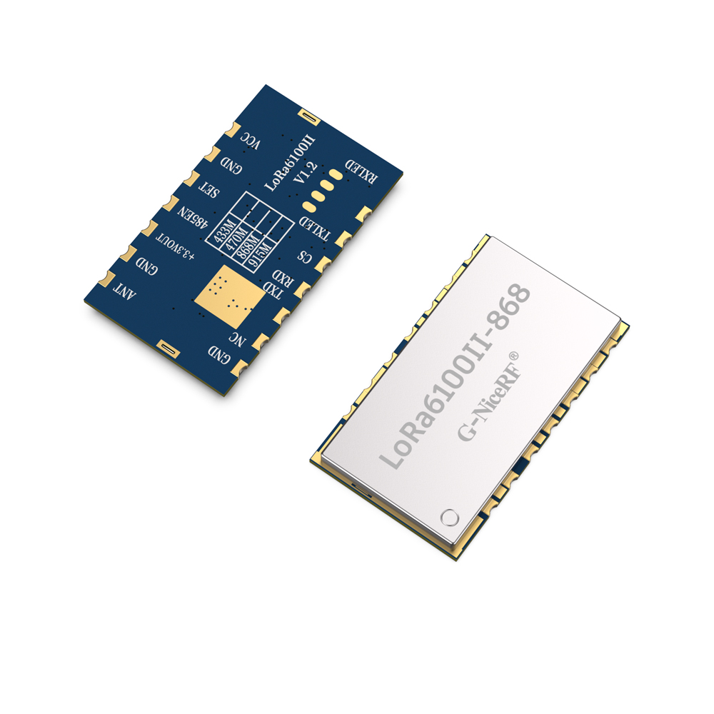LoRa6100II 